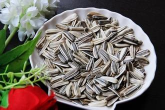 瓜子吃多了到底有哪些好處和壞處
