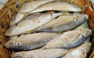 	如何分辨哪些魚受過污染？